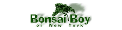 bonsaiboy.com Logo