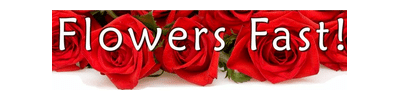 FlowersFast.com Logo